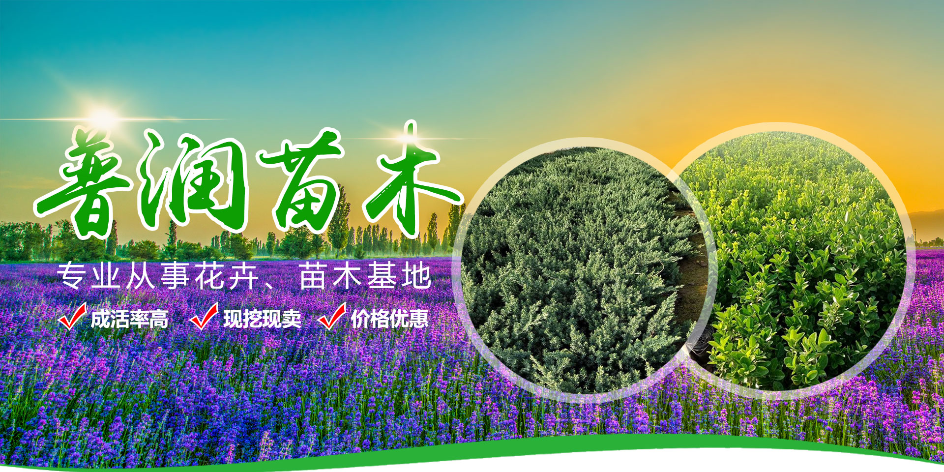 改產(chǎn)品篩分能力強(qiáng)，篩分效果好，更加只用于流水線(xiàn)使用