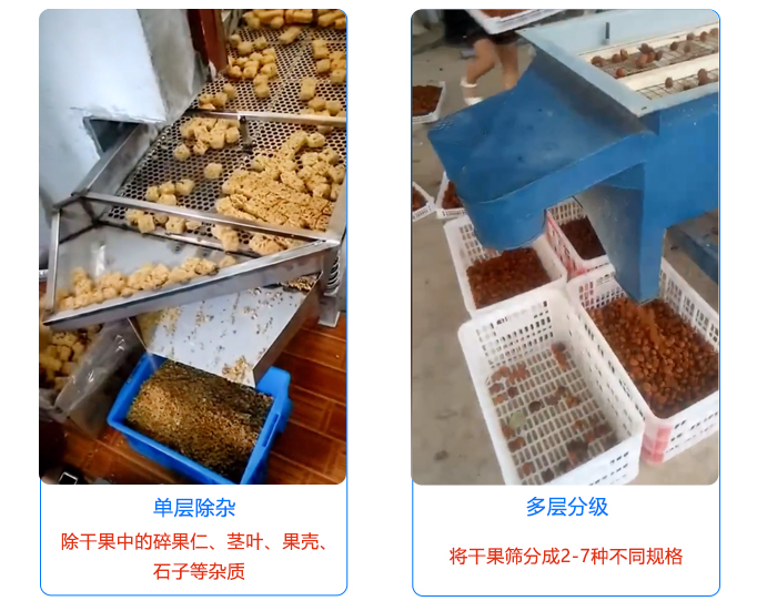 干果除雜直線(xiàn)振動(dòng)篩應(yīng)用